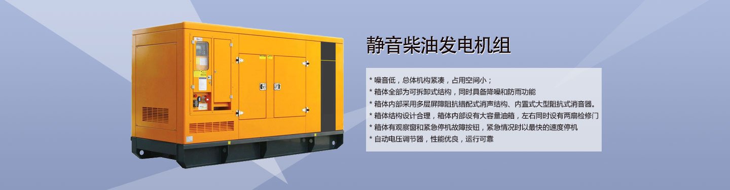 海口集(ji)裝(zhuang)箱柴油髮(fa)電(dian)機(jī)組